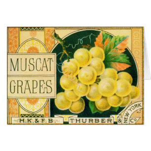 Vintage-Fruchtkisten-Etikettenkunst, Muskat-Traube