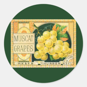 Vintage-Fruchtkisten-Etikettenkunst, Muskat-Traube Runder Aufkleber