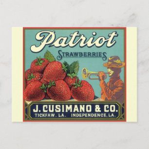 Vintage-Fruchtkisten-Etikettenkunst Patriot Erdbee Postkarte