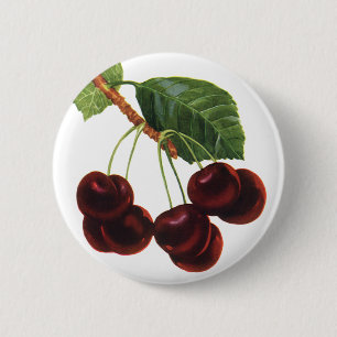 Vintage-Fruchtlebensmittel, reife Kirschen von ein Button