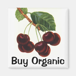 Vintage-Fruchtprodukte, reife Kirschen von einem B Magnet