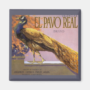 Vintage-Fruchtschachtel-Etikettenkunst El Pavo Pfa Magnet