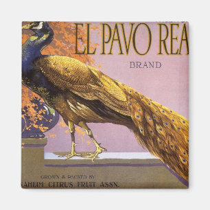 Vintage-Fruchtschachtel-Etikettenkunst El Pavo Pfa Magnet