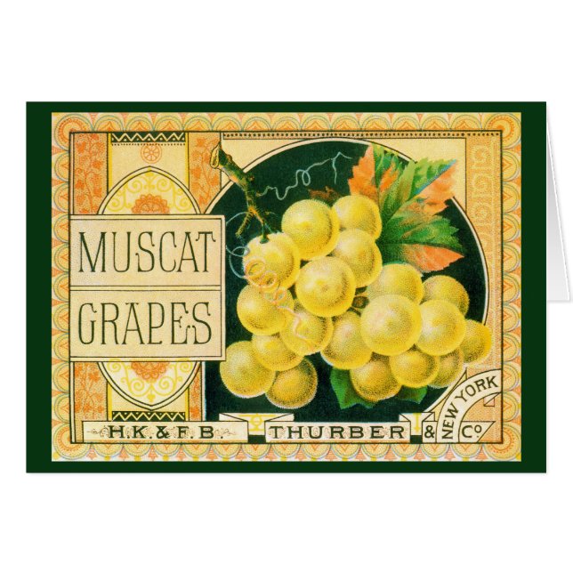 Vintage-Fruchtschachtel-Etikettenkunst, Muskat-Tra (Vorderseite (Horizontal))