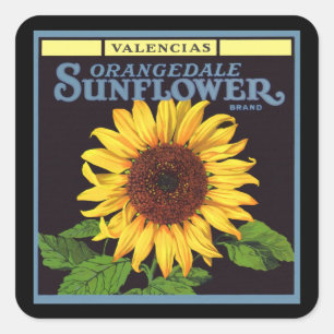 Vintage-Fruchtschachtel-Etikettenkunst Orangedale Quadratischer Aufkleber