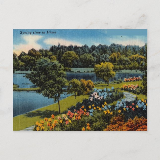 Vintage Frühling in Dixie Postkarte (Vorderseite)