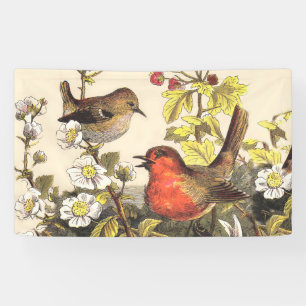 Vintage-Frühlings-Rotkehlchen-Singvögel-Botanik-Bl Banner
