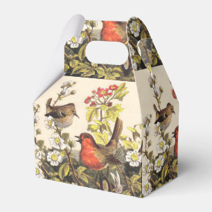 Vintage-Frühlings-Rotkehlchen-Singvögel-Botanik-Bl Geschenkschachtel