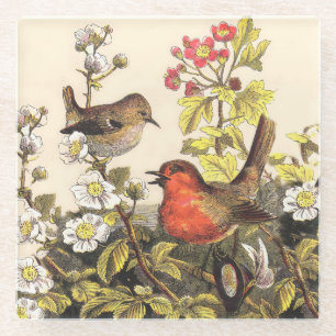 Vintage-Frühlings-Rotkehlchen-Singvögel-Botanik-Bl Glasuntersetzer