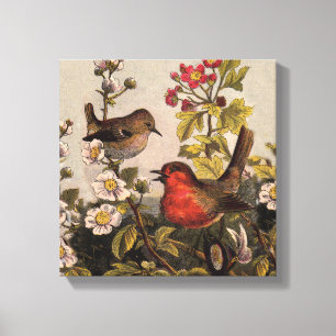 Vintage-Frühlings-Rotkehlchen-Singvögel-Botanik-Bl Leinwanddruck