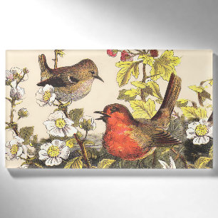 Vintage-Frühlings-Rotkehlchen-Singvögel-Botanik-Bl Namenschild