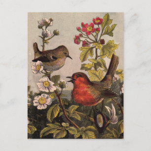Vintage-Frühlings-Rotkehlchen-Singvögel-Botanik-Bl Postkarte