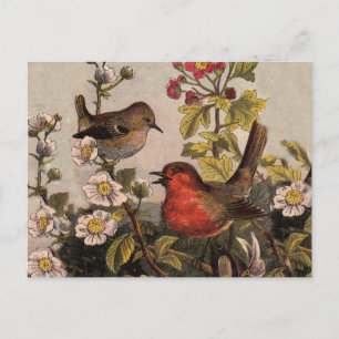 Vintage-Frühlings-Rotkehlchen-Singvögel-Botanik-Bl Postkarte