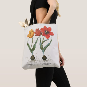 Vintage Frühlings-Tulpen von Basilius Besler