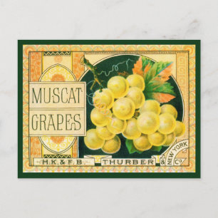 Vintage Fruit Crate Label Art, Muscat Grapes Postkarte