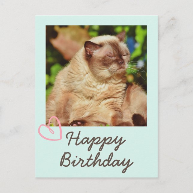 Vintage Funny Cat und Happy Birthday Postcard Postkarte (Vorderseite)