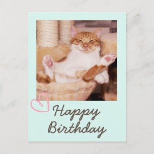 Vintage Funny Cat und Happy Birthday Postcard Postkarte