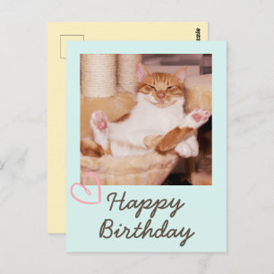Vintage Funny Cat und Happy Birthday Postcard Postkarte
