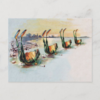 Vintage Funny Frogs Postcard Postkarte