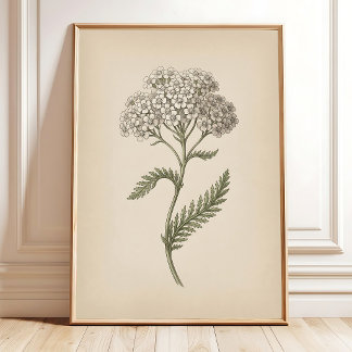 Vintage-Garten-Botanik-Wandkunst-Leinwanddrucke Poster