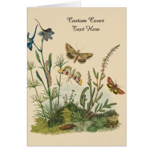 Vintage-Garten-Insekten, Schmetterlinge, Raupen