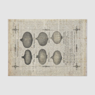 Vintage Garten-Katalog-Collage No.005 Seidenpapier