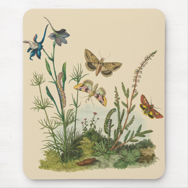 Vintage Garteninsekten, Schmetterlinge, Raupen Mousepad (Vorne)