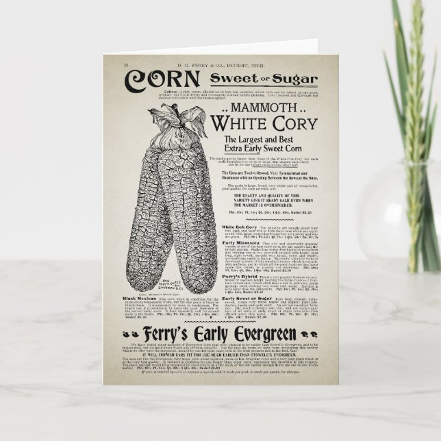 Vintage Gartenkatalog Karte (Vorderseite)