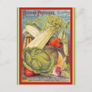 Vintage Gartensamen aus New Orleans Postkarte