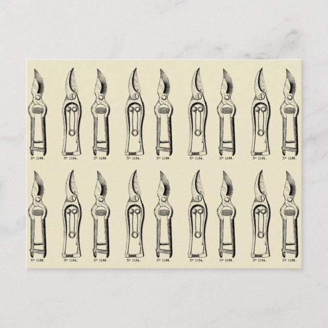 VINTAGE Gartenschneider 2 Postkarte (Vorderseite)