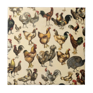 Vintage-Geflügel der Welt Hühner-Rasse-Kunst Fliese