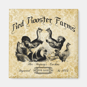 Vintage Geflügelfarm-Werbung Magnet