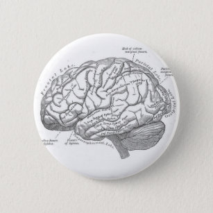 Vintage Gehirn-Anatomie Button