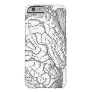 Vintage Gehirn-Anatomie Barely There iPhone 6 Hülle
