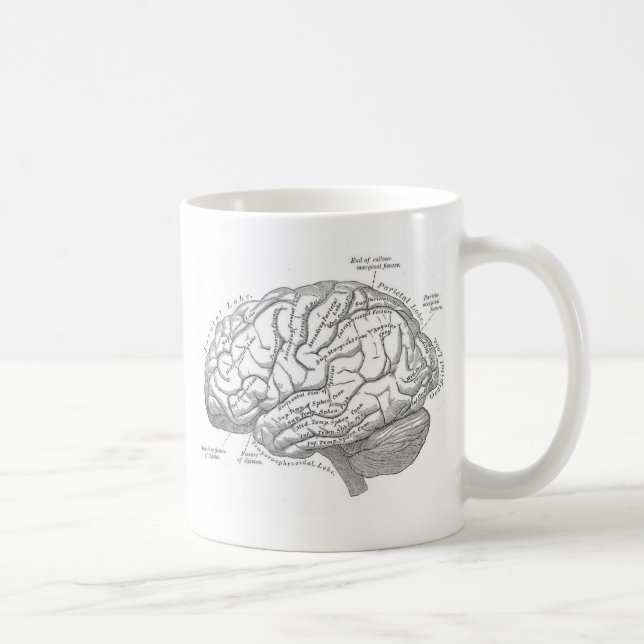 Vintage Gehirn-Anatomie Kaffeetasse (Rechts)