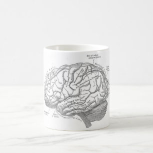Vintage Gehirn-Anatomie Kaffeetasse