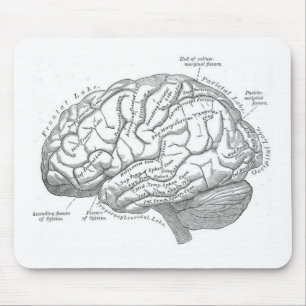 Vintage Gehirn-Anatomie Mousepad