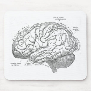 Vintage Gehirn-Anatomie Mousepad