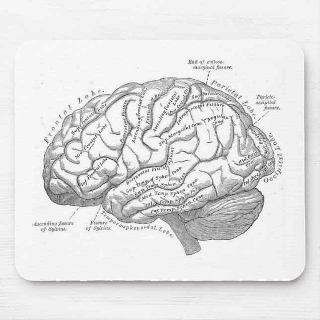 Vintage Gehirn-Anatomie Mousepad (Vorne)