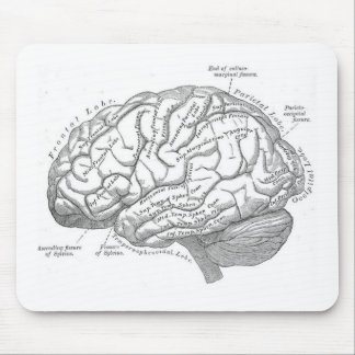 Vintage Gehirn-Anatomie Mousepad