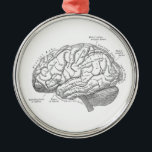 Vintage Gehirn-Anatomie Ornament Aus Metall<br><div class="desc">Vintage Gehirn-Anatomie</div>