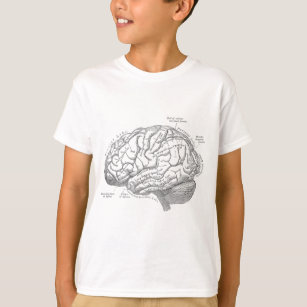 Vintage Gehirn-Anatomie T-Shirt
