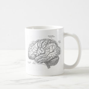 Vintage Gehirn-Anatomie Tasse