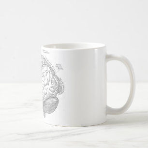 Vintage Gehirn-Anatomie Tasse