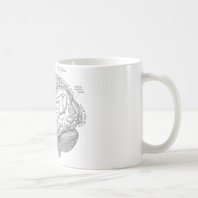 Vintage Gehirn-Anatomie Tasse (Rechts)