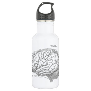 Vintage Gehirn-Anatomie Trinkflasche