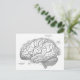 Vintage Gehirnanatomie Postkarte (Stehend Vorderseite)
