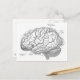Vintage Gehirnanatomie Postkarte (Vorderseite/Rückseite Beispiel)