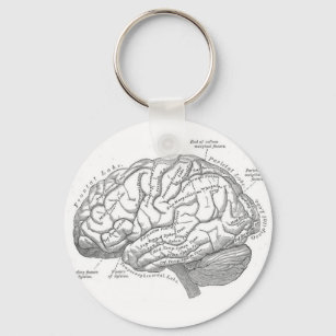 Vintage Gehirnanatomie Schlüsselanhänger