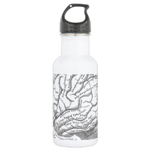 Vintage-Gehirnanatomie Trinkflasche